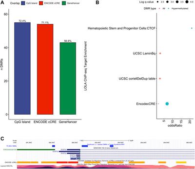 Frontiers DNA Methylation Analysis of Turner Syndrome BAV